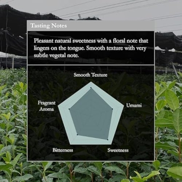 Naoki Matcha Nishio Bloom Masters Collection Matcha – Authentic Japanese Ceremonial Grade Matcha Green Tea Powder from Nishio, Japan (40g / 1.4oz)