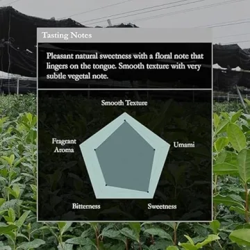 Naoki Matcha Nishio Bloom Masters Collection Matcha – Authentic Japanese Ceremonial Grade Matcha Green Tea Powder from Nishio, Japan (40g / 1.4oz)