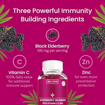 WellPath Boost Elderberry Gummies with Zinc & Vitamin C | Immune Support Supplement for Adults | Immunity Booster Vitamins | Sambucol Black Gummy | Non-GMO & Vegan, 60 Ct