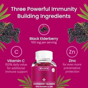 WellPath Boost Elderberry Gummies with Zinc & Vitamin C | Immune Support Supplement for Adults | Immunity Booster Vitamins | Sambucol Black Gummy | Non-GMO & Vegan, 60 Ct