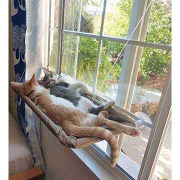 Cat Window Perch - Sunny Hammock for Relaxing Cats