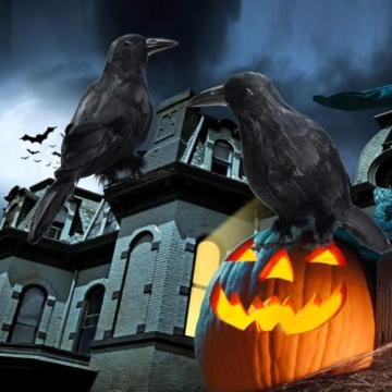 MyoGrip Halloween Decorations 2 PCS Realistic Crows Halloween Decor Birds Black Feathered Crows - Halloween Ravens Prop Decor Outdoor Indoor Party Decoration, Crow Decor, Raven Decor (Black)