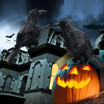 MyoGrip Halloween Decorations 2 PCS Realistic Crows Halloween Decor Birds Black Feathered Crows - Halloween Ravens Prop Decor Outdoor Indoor Party Decoration, Crow Decor, Raven Decor (Black)