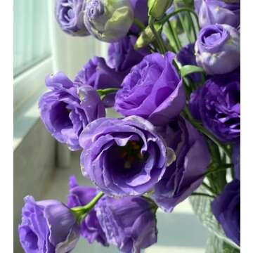 1000 Non-GMO Lisianthus Seeds for Vibrant Purple Blooms, Family-Friendly Planting Activity