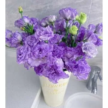 1000 Lisianthus Seeds - Non-GMO Mix for Vibrant Gardens