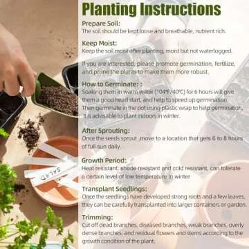 1000 Lisianthus Seeds - Non-GMO Mix for Vibrant Gardens