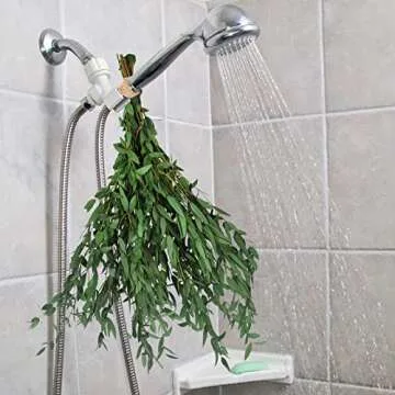 HIAGROW Real Eucalyptus Stems Greenery Decor 20PCS 16" Dried Willow Eucalyptus Plant Preserved Greenery Stems for Home Vase Filler Wedding Flowers Arrangement Spring Decorations