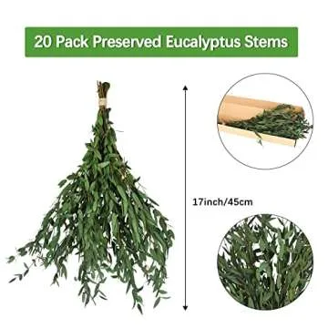 HIAGROW Real Eucalyptus Stems Greenery Decor 20PCS 16" Dried Willow Eucalyptus Plant Preserved Greenery Stems for Home Vase Filler Wedding Flowers Arrangement Spring Decorations