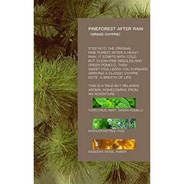 S3XYWORLD Tesla Air Freshener for Model 3 and Y - Invisible Slim Design - Lasts 3+ Weeks - Aromatherapy Scent - Auto Odor Eliminator (Pineforest After Rain Refills ONLY) Dark Gray