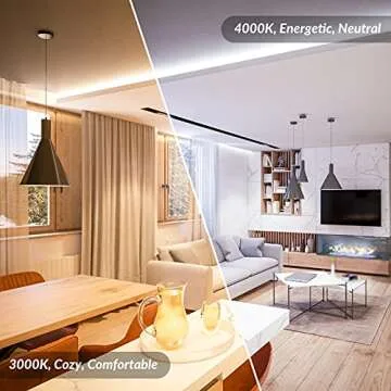 Dimmable Vintage LED Edison Light Bulbs for Home