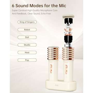 Divoom Songbird-HQ2 Karaoke Machine with 2 Wireless Microphones,Bluetooth Speaker for Adults Girls Boys,Audio Mixer Karaoke System for Home Party Outdoor,TF/AUX/USB Support, for All Ages