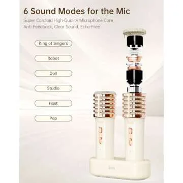 Divoom Songbird-HQ2 Karaoke Machine with 2 Wireless Microphones,Bluetooth Speaker for Adults Girls Boys,Audio Mixer Karaoke System for Home Party Outdoor,TF/AUX/USB Support, for All Ages