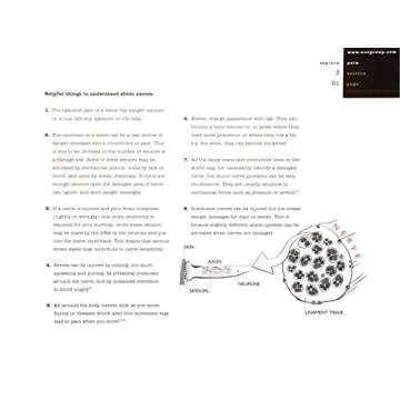 Understand Chronic Pain with Explain Pain Book