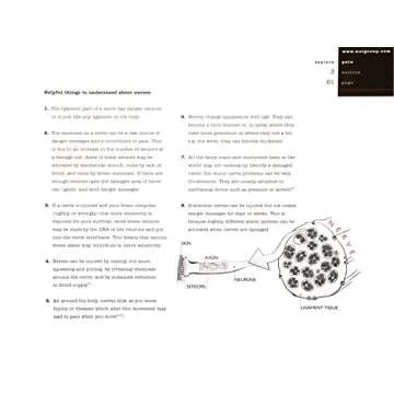 Understand Chronic Pain with Explain Pain Book