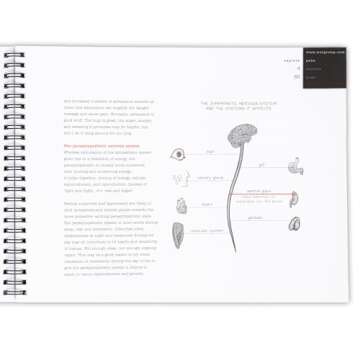 Understand Chronic Pain with Explain Pain Book