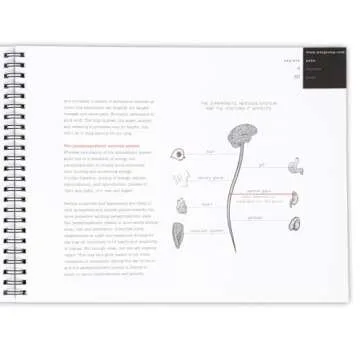 Understand Chronic Pain with Explain Pain Book