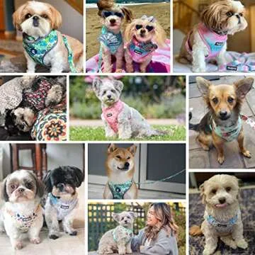 Blueberry Pet 5 Patterns Soft & Comfy Made Well Cute Floral No Pull Mesh Dog Harness Vest in Light Blue, Chest Girth 17.5"-21", Small, Adjustable Harnesses for Dogs