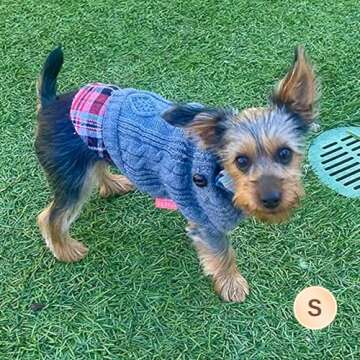 KYEESE Dog Sweaters Warm Dog Sweaters for Small Dogs Male Turtleneck Small Dog Sweater Knitwear Dog Coats Dog Clothes with Gingham Patchwork Pet Sweater for Fall Winter