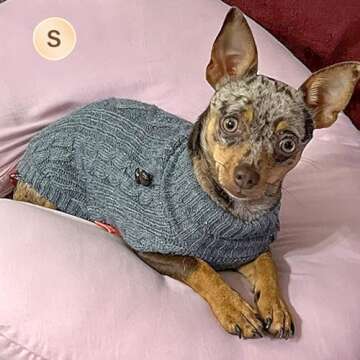 KYEESE Dog Sweaters Warm Dog Sweaters for Small Dogs Male Turtleneck Small Dog Sweater Knitwear Dog Coats Dog Clothes with Gingham Patchwork Pet Sweater for Fall Winter