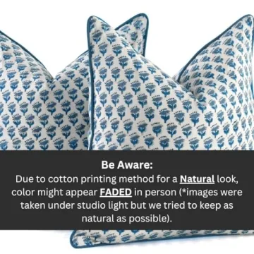 CPC 100% Cotton Throw Pillow Covers 20x20 Inch, Set of 2 Blue Block Print Pattern Couch Pillow, Cute Decorative Pillows for Living Room, spring, easter, valentines and with Hidden Zipper- Apatite Blue