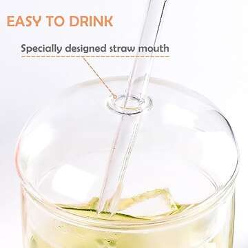 WHJY Glass Tumbler with Lid and Straw, Clear Travel Smoothie Cup，Heat Resistant Glass Outdoor Drinking Glasses， 16oz Glass To Go Cup with Lid and Straw