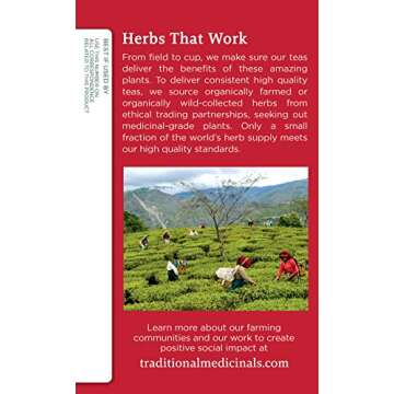 Organic Echinacea Plus Herbal Tea for Immune Health