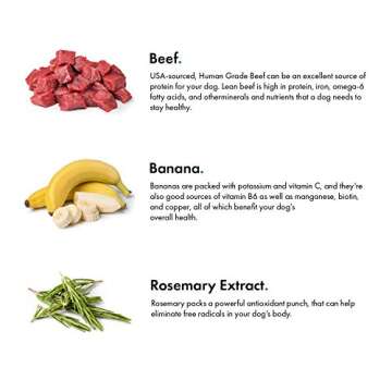 Pet Jerky Factory Premium Beef and Banana 5 oz. Dog Jerky Treats | 100% Human Grade | USA Made | High Protein | Grain Free | Limited Ingredients | No Filler | BHA-BHT Free | Soft-Tender