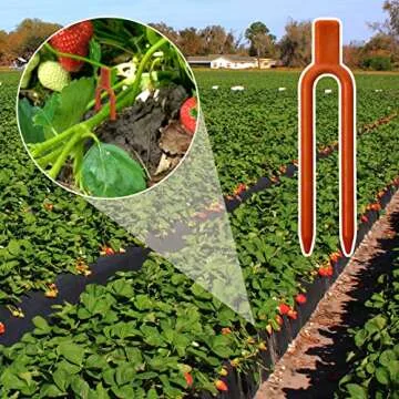 SDUSEIO 200 Pieces Strawberry Planting Fork Gardening Plant Fixing Dig Clips Plastic Fastening Vines Clam Fixture Clamp Farming Watermelon Fork Farming Securing Fixer Tool Support,Red-S