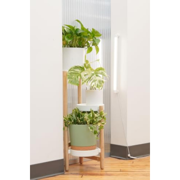 Soltech Grove LED Grow Light for Indoor Plants & Herbs