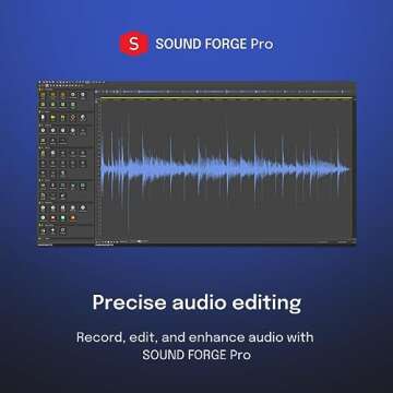 VEGAS Pro Suite 21 - Integrated video and audio editing tools for content creators | video editing software | video cutting software | video editor | Windows 10/11 PC | 1 license