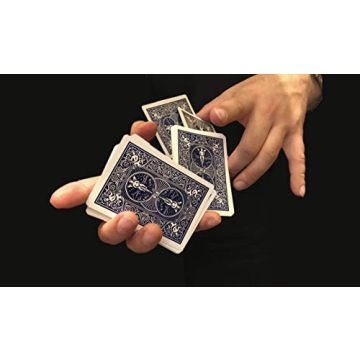 Bicycle Standard Playing Cards - Red & Blue 2 Pack