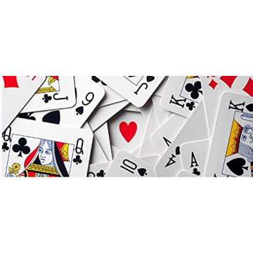 Bicycle Standard Playing Cards - Red & Blue 2 Pack