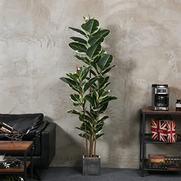 FLOWORLD 6ft Tall Artificial Rubber Tree Plant for Home Decor