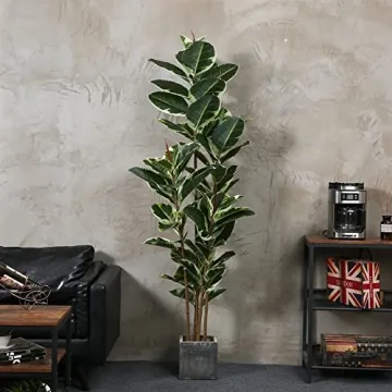 FLOWORLD 6ft Tall Artificial Rubber Tree Plant for Home Decor