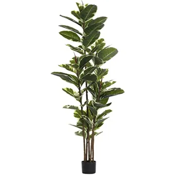 FLOWORLD 6ft Tall Artificial Rubber Tree Plant for Home Decor