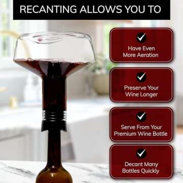 Wine Decanter with Aerator - Perfect Gift for Wine Lovers