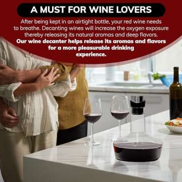 Wine Decanter with Aerator - Perfect Gift for Wine Lovers
