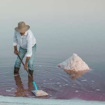 Le Saunier De Camargue Fleur De Sel Sea Salt (Plastic Tub), 35.2 Ounce