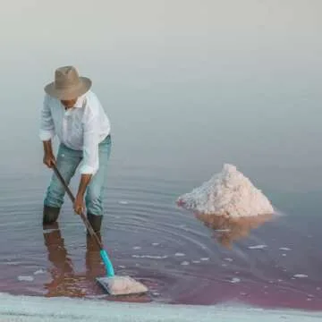 Le Saunier De Camargue Fleur De Sel Sea Salt (Plastic Tub), 35.2 Ounce