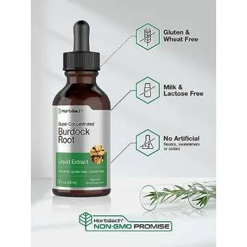 Horbäach Burdock Root Tincture | 2 fl oz | Super Concentrated Herb Extract | Vegetarian, Non-GMO, Glutren Free, Alcohol Free