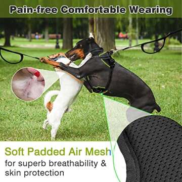 WINSEE No Pull Dog Harness, Step in Dog Harness with a Dog Collar, Chest Adjustable Soft Padded Vest, Reflective No Escape Harness Easy Running Walking for Small, Medium, Large, Extra-Large Dogs