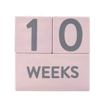 Pearhead Pink Baby Milestone Age Blocks for Photos