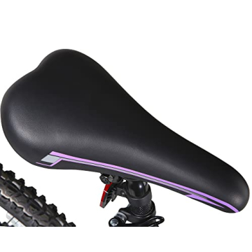 Dynacraft Slick Rock Trails Mountain Bike for Adventurers