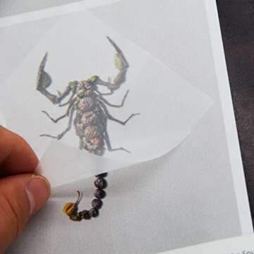 Premium Transparent Sticky Notes Set for Easy Annotation