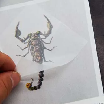 Premium Transparent Sticky Notes Set for Easy Annotation