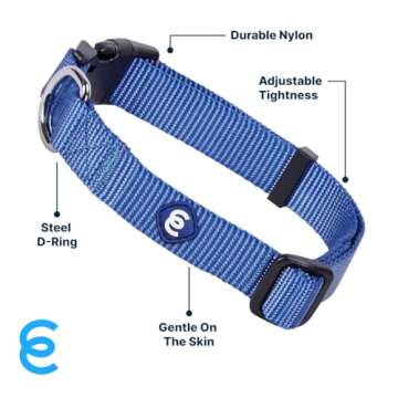 Marina Blue Dog Collar for Small Dogs | Eco-Friendly & Stylish
