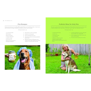 Healthy Dog Recipes and Tips for Lifelong Wellness