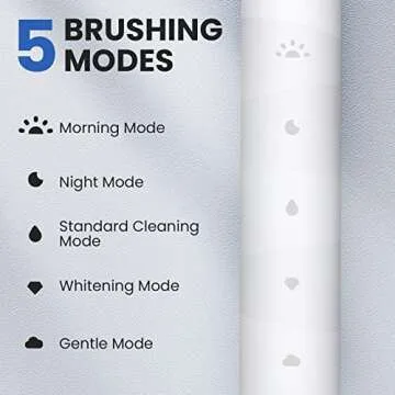 Oclean Electric Toothbrush with Sonic Cleaning Technology