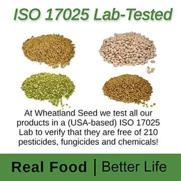 Hard White Wheat Berries : Wheatland™ : 25 lb Bulk: Emergency Preparedness : Mylar : Oxygen Absorber : 30 Year Shelf Life : Non GMO: NO Glyphosate : Long Term Food Storage