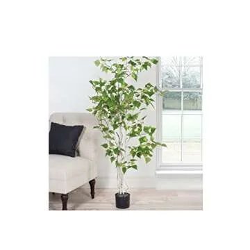 Birch Artificial Tree - 60-Inch Potted Faux Plant with Natural Looking Leaves for Office or Home Decor - Realistic Indoor Fake Plants by Pure Garden